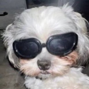 rvdrqm's profile picture. 