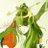 iiioo567's profile image