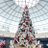 ad4781127697511's profile image