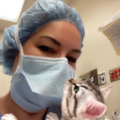 usa_beverly's profile picture. All big things come from small beginnings