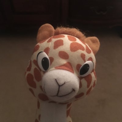 jmwm9's profile picture. Happiest at the beach