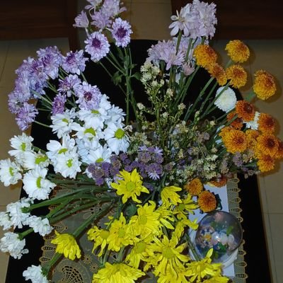 yourbaebae65's profile picture. akun twt mencurahkan isi hati
ini akun aga berubah dikit jadi akun preloved pribadi wkwk