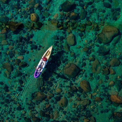 NorthEastCor's profile picture. From Kohima to Imphal, we're united. Freelancer