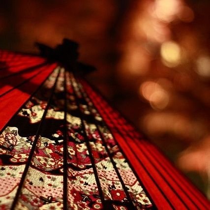 GalaxyLuna95439's profile picture. 20th ─ she/he/they || mulf/mulship (I'm not Japanese btw)