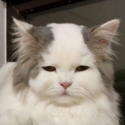 unnecessaryayee's profile picture. 20+ love you like รตี loves แกงส้ม