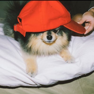 jewell⁷🐯 Profile