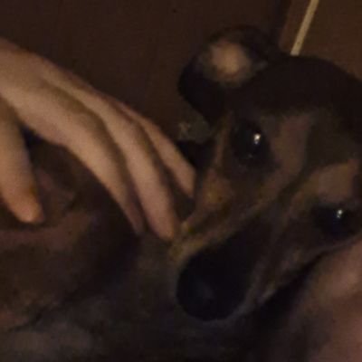 big249324's profile picture. 