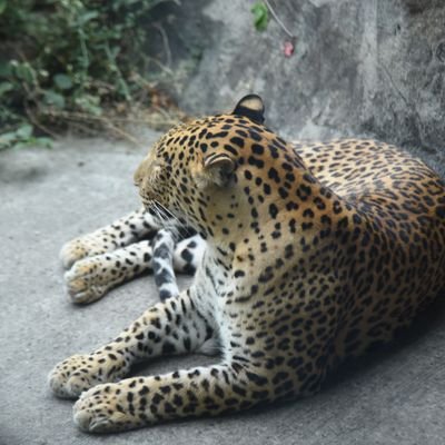 v_darvax's profile picture. Nothing just have fun in life