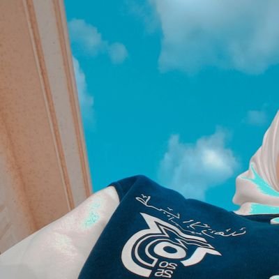 ShimaaAhmed1311's profile picture. 