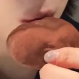 grlno4's profile picture. 뱅페스 다. 전부. 다.