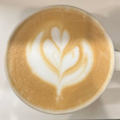 Nautilus32186km's profile picture. 04.ZENSE I 無言フォロー謝罪&歓迎 好きな呼び方で読んでください！DMもちろん歓迎です！Je suis un homme des profondeurs.