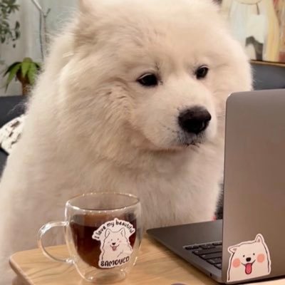 herode_jeanty's profile picture. Static energy makes wisdom.