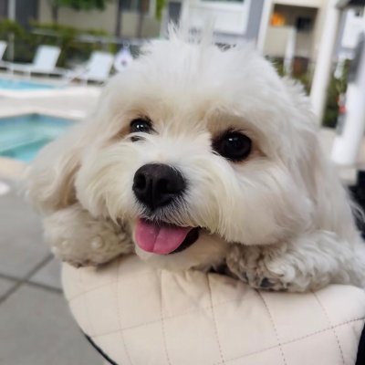 Delilah115689a's profile picture. We always like those who admire us; we do not always likethose whom we admire.