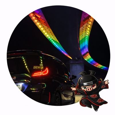 黒ブタ隊長FREED+(タス君)