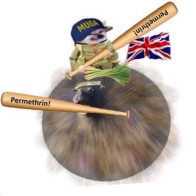 DiscoBiscuit78's profile picture. I’m a massive arsehole to people who deserve it.