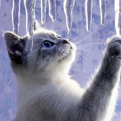 Grvyrdmama's profile picture. I have become comfortably numb.