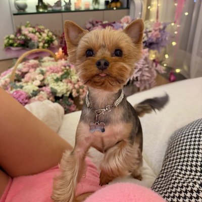 EmilyJohnson_TX's profile picture. ✨ Bridging tech & art | UI/UX designer by passion, coder by curiosity 💻🎨
☕ Obsessed with clean design, deep thinking, and matcha mornings