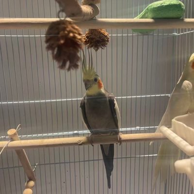 wan1712187's profile picture. fq。978894837