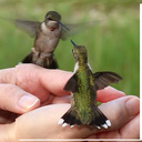 Barbara Phinney - @baphinney1 - Twitter