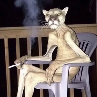 _mangrub's profile picture. 