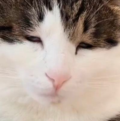 323686c_wo's profile picture. 