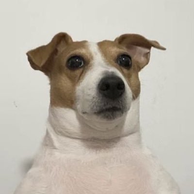 jakeperaltwa's profile picture. sep • 🩺