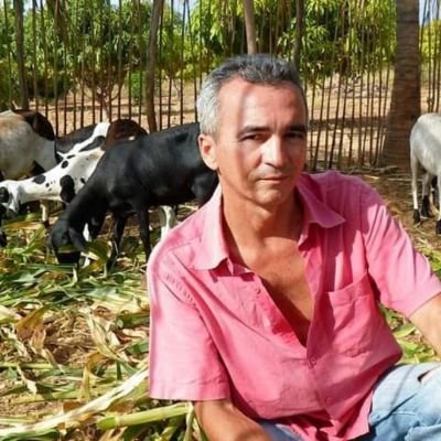 Joaquim44039267's profile picture. Micro produtor Rural (mangicultor) apreciador de uma boa musica, pessoas alegres, um bom papo e belesas do nosso pais.