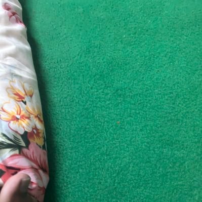 KarthikeyanIFS's profile picture. Indian Forest Service ¦¦ WB cadre