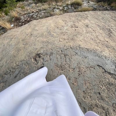 anw50z's profile picture. 🚥🇮🇷