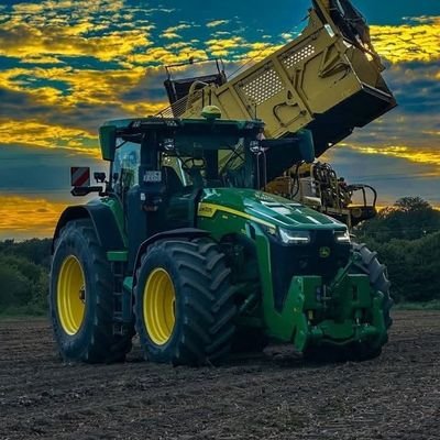 LehmannFreddy's profile picture. 