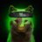 0://yhogiiwilder's Twitter (X) avatar