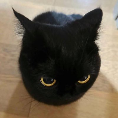 Makinni3's profile picture. 