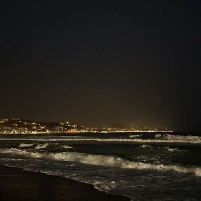 tatarus2119's profile picture. 