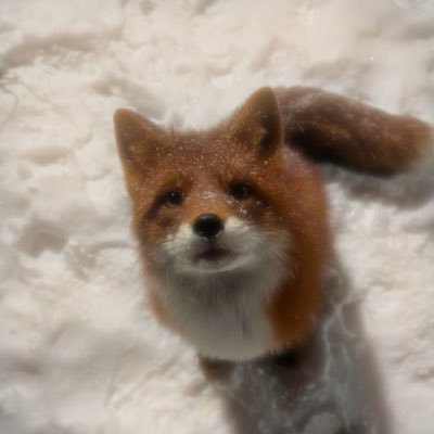 idiotnut's profile picture. 🫧 🐛 𓂃edtwt, tea obsessed + a tired 3rd shifter ꩜ .ᐟ nothing is too tmi I fear ヾ(_ _。）