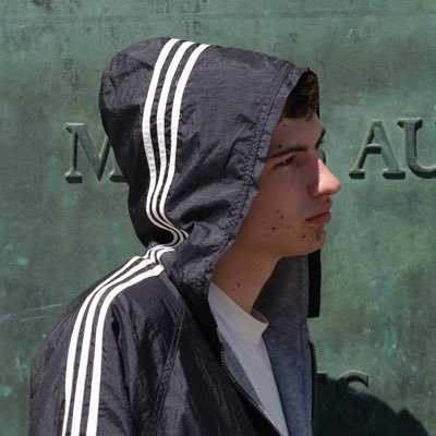 aroacehobie's profile picture. 1312 + free palestine + kill nazis | @caninefinn 🔑