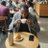 RASHOP17's profile image