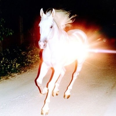 jouchprincess's profile picture. village seamstress // baby deer in the headlights // eats ribs gracefully