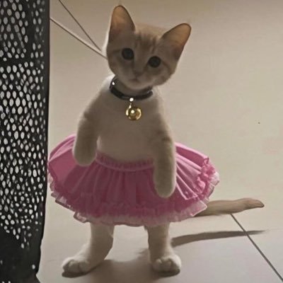 yellowsnd's profile picture. 