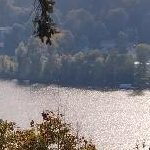 Michael58774698's profile picture. 