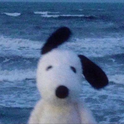 shanedifity's profile picture. all at once | 🔰 | ☁️