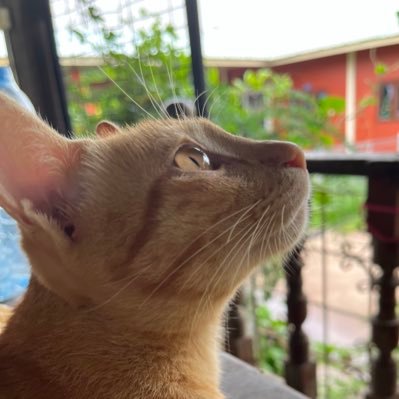 r_tiaraaa's profile picture. อยากเป็นแฟนเปรมสเปซ แต่เมื่อไรคิวแรกจะขยับ @Prem_space @bb0un 🥦 ((ทีมแฟนเปรมเปดเสมอมาและเสมอไป))🐷🤏