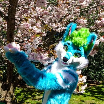 Fluxfoxx_'s profile picture. 24M | bi/single | Accountant | Professional Twink | banner: @jumiifoxx | fursuit: @_NFStudios | AD: @fluxfoxxAD | MDNI | Commissions a fair bit of art...