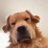 krv______'s profile image