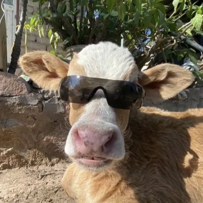 plzdontstop29's profile picture. 아듬어 주시옵소서