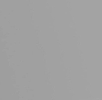 bella_december's profile picture. 