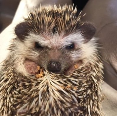 biztom77's profile picture. 