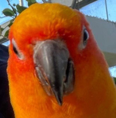 BrianEo1's profile picture. 