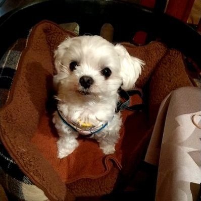 CataMujica's profile picture. 