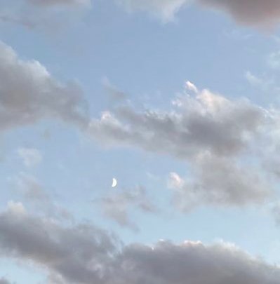 ChrisComments's profile picture. 