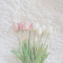 DevalKhandal's profile picture. 